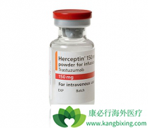 HER2�������ٰ�������ѡ�����鵥����