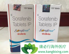 ӡ�ȶ༪��˵����Ͱݶ��ṩ��һ����