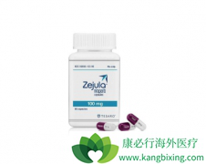 PARP���Ƽ����������ܹ��������������ٰ���