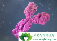 HER2�������ٰ����õĿ���ż��ҩ������Щ��