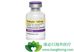 T-DM1�����������ٰ����ߵ���Ч��ô����