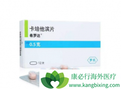 ת���Գ���������ȷ�����Ŀ���������ҩ�����������ģ�