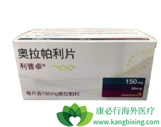 HER2�������ٰ����¸������Ʒ�������Щ��