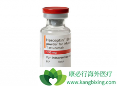 HER2�������ٰ�ʹ�������鵥�����������鵥��������ô����