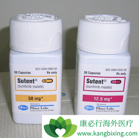 舒尼替尼 舒尼替尼