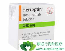 HER2�������ٰ����Ƽ�ʹ�ú���͡������