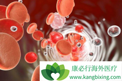 ������ϸ���԰�Ѫ������Щ�������Ʒ�������ѡ��