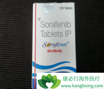 ���ΰ�ҩ��༪�����ڲ���һ�Ҷ���