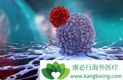 �������ƺ�֮�������Щ֢״Ԥʾ������������