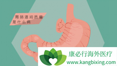 ����������θ���������ı�׼ҩ�����Ʒ���