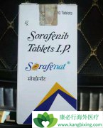 Opdivo����Ϊ�༪��(sorafenib)��ҩ��ΰ����ߵ�ѡ�񷽰�