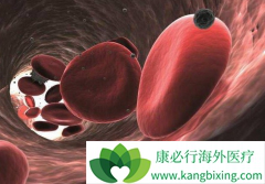 ���ڹ����������Ʒ����Ƿ����Ѫ����ͬ��