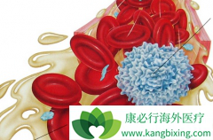 ������Щ֢״����˵���㻼����������ϸ����Ѫ����