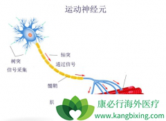 ŵ��������ע��Һ���Ƽ����Լ�ή��֢Ч����Σ�