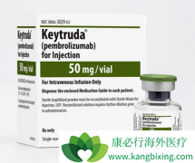 ����������ת�ƻ��ת����ķ����(Keytruda)���ϻ��ƶ��ܴ�����Ч