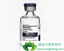 PD-1���Ƽ���ķ������PDA��׼����ת����÷�˶�ϸ�������ߵ�����