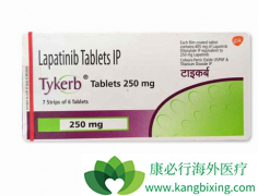��������(Lapatinib)����ǿ���ƶ����ٰ����ߵķ�����������
