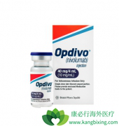 �������ȵ�����������NSCLC���ߵ���Ч��ô����