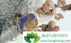 ���˶෢�Թ��������谩��������Щ���ͣ�