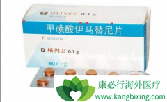 GIST�������ѡ��׻�����������Ƭ����ҩʱ����