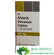 �����������ƾ���EGFR����ͻ��ķΰ�������Ч