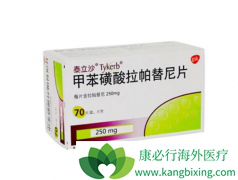 ����������ָ���Ƽ���HER2���ٰ�����ҩ����