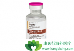 �����鵥�����������鵥������HER2�������ٰ�����Ч��ô����