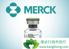 �����������������Ʒ�Keytrudaһ��������ϸ�������ߵ���Ч��ô����