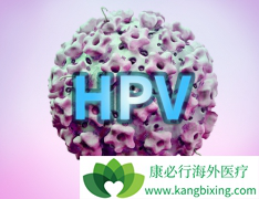 ��Ⱦ��hpv������Ů�Ի��ܻ�����