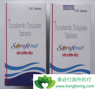 ӡ�ȶ༪������һ������Ȼû������Ч�Ƿ�������