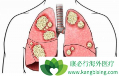 ��������ܷ���Ϊ��Сϸ���ΰ���һ����ҩ��