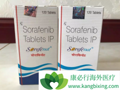 ��������������ҩ������ҩ������Ӧ�����ѡ��