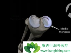 �����������谩���Ի���Ϊ��Щ���ͣ�