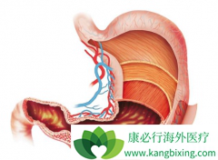 ���������Ӱ��θ�������ܻ��õ�����֮һ