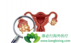 ���ڹ�����������Ӧ�ò������������ϻ��Ʒ�����