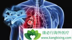 EGFR-TKI����������������Ч����Ӱ��