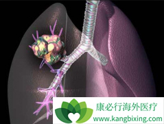 �������������漪��������Ϊ���߻��������Ʒβ��۰�����Ч����