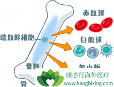 �Է�����ɰ�Ѫ����Ⱦ���Ƿ���Ŵ��أ�