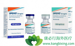 ���߼������Ƽ��������ڽ�ֱ�������ߵ�������