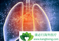 ���Լ����Է��׵�Ӱ��ѧ�����ʲô�ص㣿