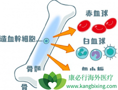 Ѫ����Щ֢״���ð��֢״���ƣ�