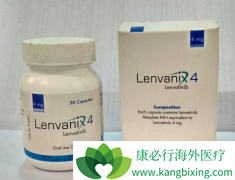 ʹ�ù��ַ�����(Lenvatinib)�Ļ��ߵķ�����Σ�