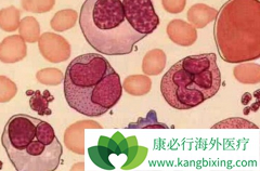 ��ά��ǰ������ά������«��������