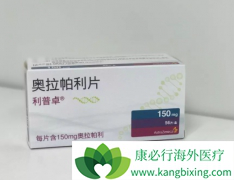 PARP���Ƽ�������������PD-L1�������������Ʒΰ���