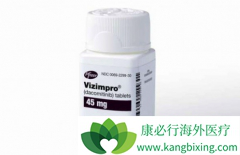 ����EGFR���Ƽ���ҩ�������(dacomitinib)�ڹ��ڻ�������