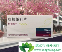 PARP���Ƽ������������������ѳ�����һ��ά������