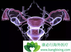 ��ͬ���ڹ��������Ʒ����кβ�ͬ��