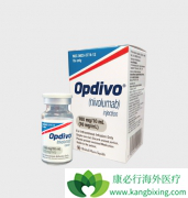 ��ֱ��������ʹ�����߼������Ƽ�����Ч������