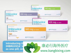 ��������ҩ����������/������ȫ���׸�BTK���Ƽ�