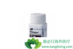 ����EGFR-TKI�������������һ�����Ƽ����Ʒΰ���